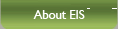 About EIS